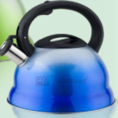 Stainless Steel Tea Kettle Induction
